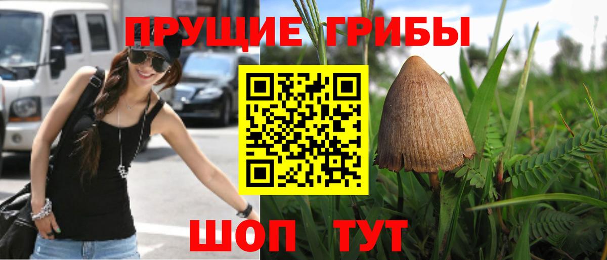 купить наркоту  Вход с VPN  Галлюциногенные грибы Magic Shrooms  Еманжелинск  Псилоцибиновые грибы Cubensis 